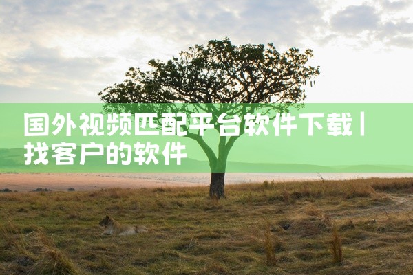 国外视频匹配平台软件下载