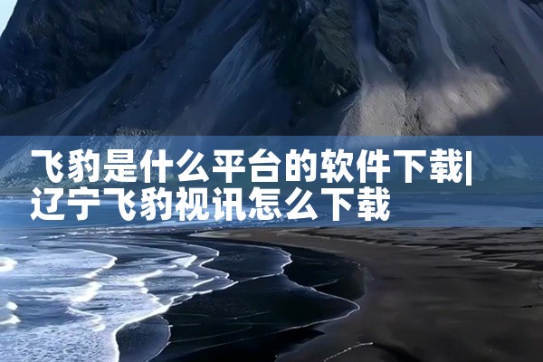 飞豹是什么平台的软件下载
