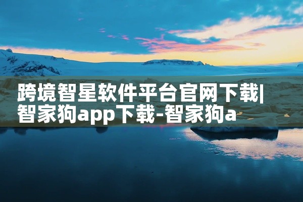 跨境智星软件平台官网下载