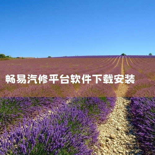 畅易汽修平台官方版是一款专为用户打造的实用软件,适配主流操作系统,核心功能覆盖日常使用场景的各类需求,操作界面简洁直观,降低了用户的使用门槛。软件提供了稳定的运行体验,无冗余广告,支持多项个性化设置,,